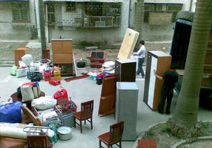 專業(yè)免費上門大件貨物、摩托車電動車及寵物托運信息咨詢服務